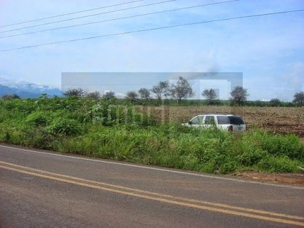 Picture of Residential Land For Sale in Xalisco, Nayarit, Mexico