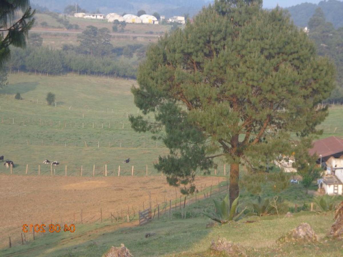 Picture of Development Site For Sale in Veracruz De Ignacio De La Llave, Veracruz, Mexico