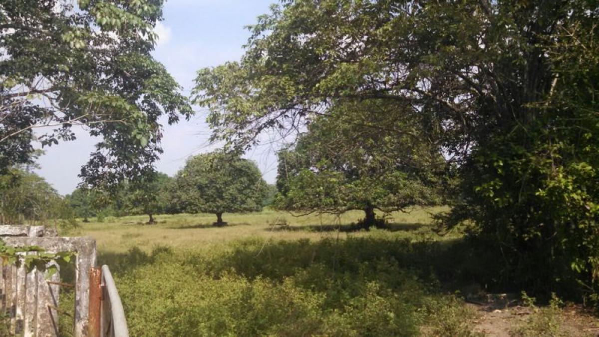 Picture of Development Site For Sale in Nacajuca, Tabasco, Mexico
