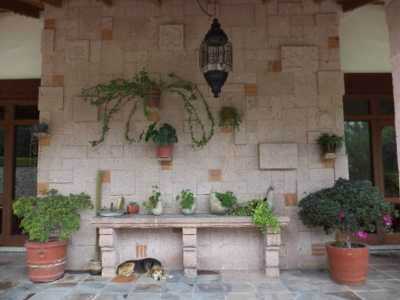 Development Site For Sale in Hidalgo, Mexico