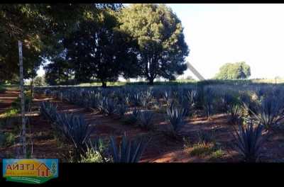 Residential Land For Sale in Arandas, Mexico