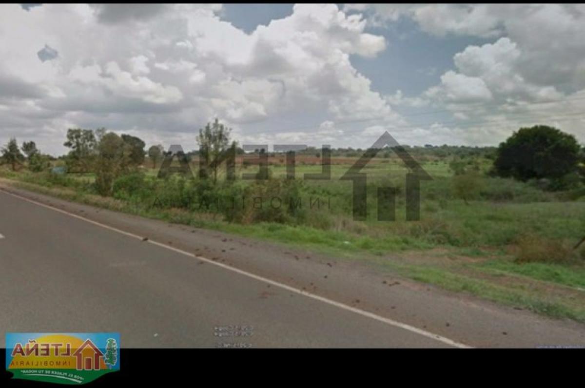 Picture of Residential Land For Sale in San Ignacio Cerro Gordo, Jalisco, Mexico