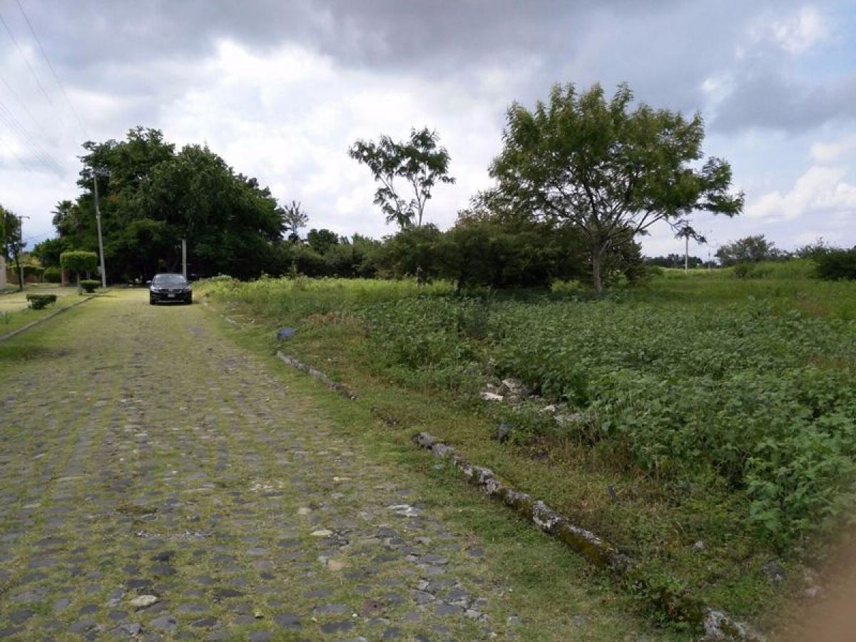 Picture of Residential Land For Sale in Ayala, Morelos, Mexico
