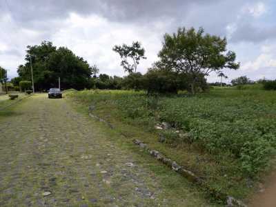 Residential Land For Sale in Ayala, Mexico