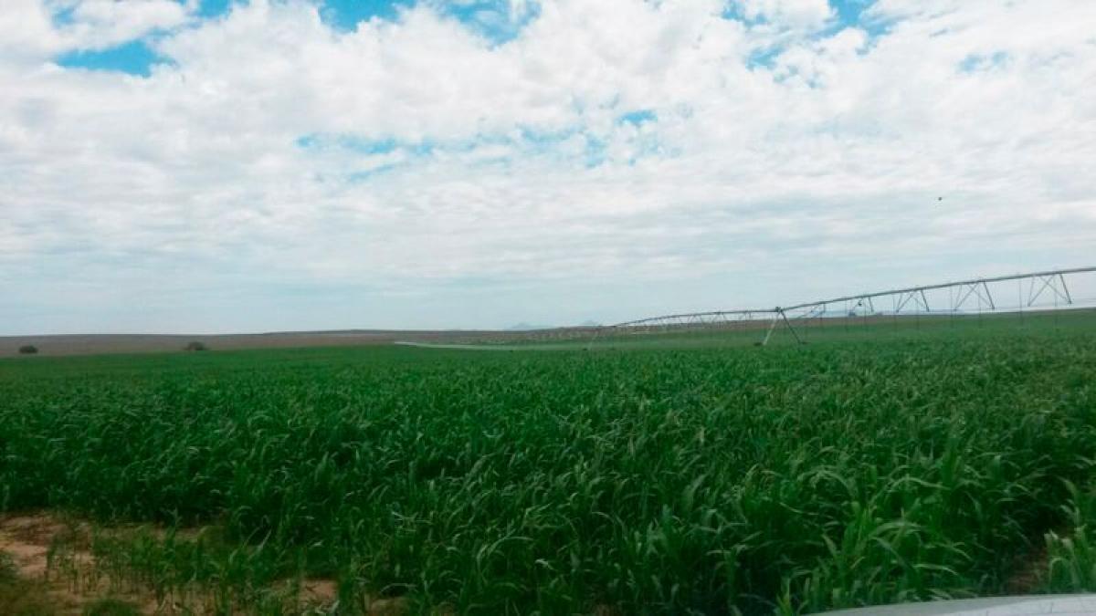 Picture of Residential Land For Sale in Ahome, Sinaloa, Mexico