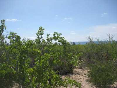 Residential Land For Sale in Baja California Sur, Mexico