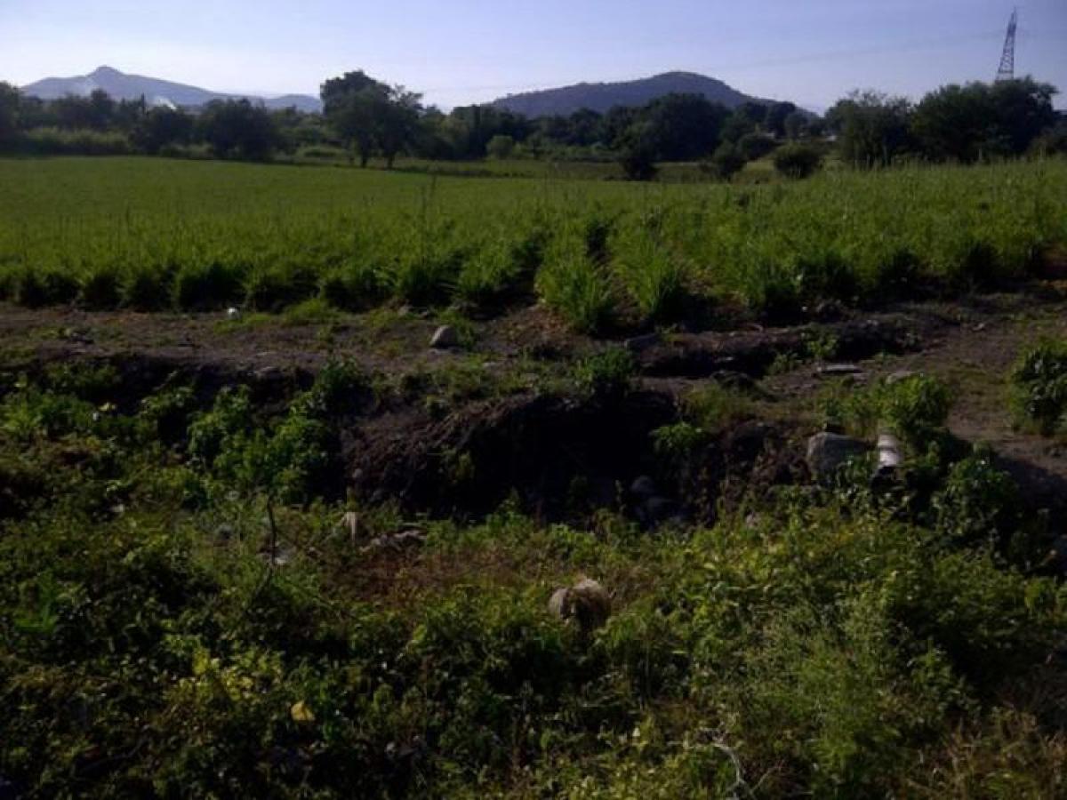 Picture of Residential Land For Sale in Temixco, Morelos, Mexico