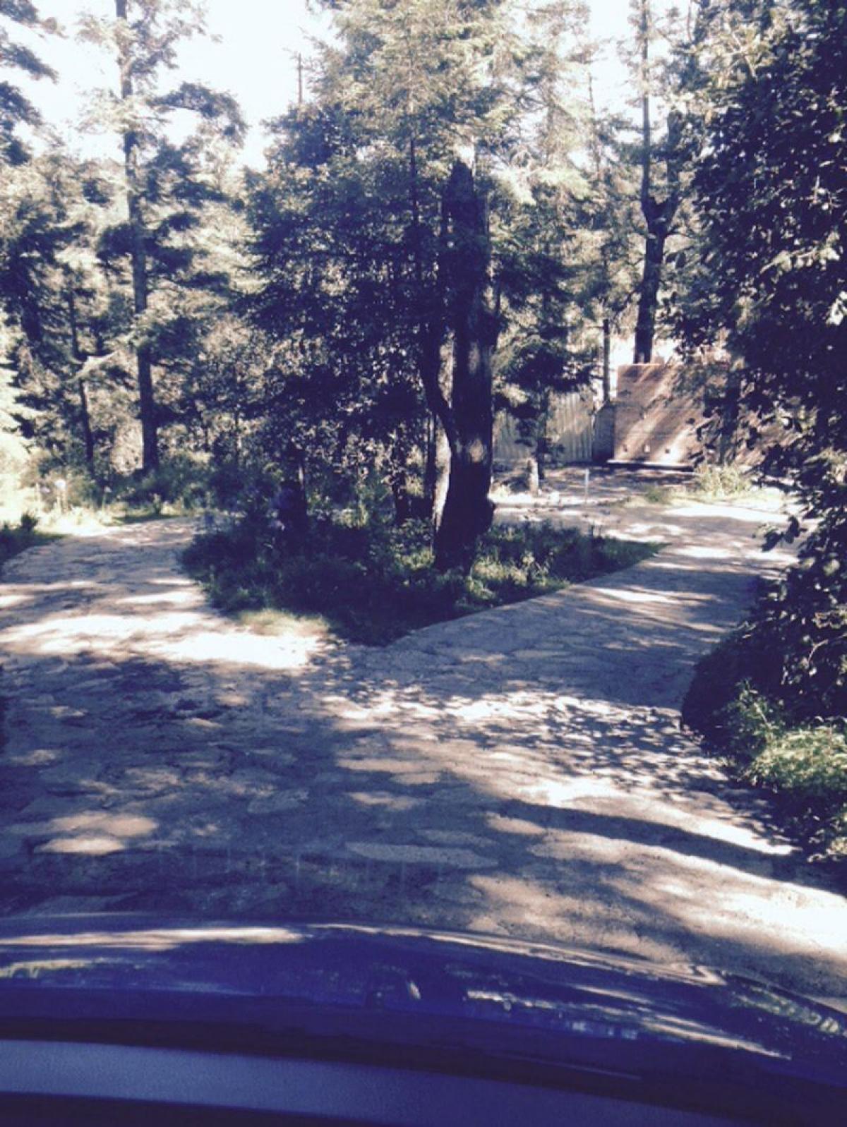 Picture of Residential Land For Sale in Hidalgo, Hidalgo, Mexico