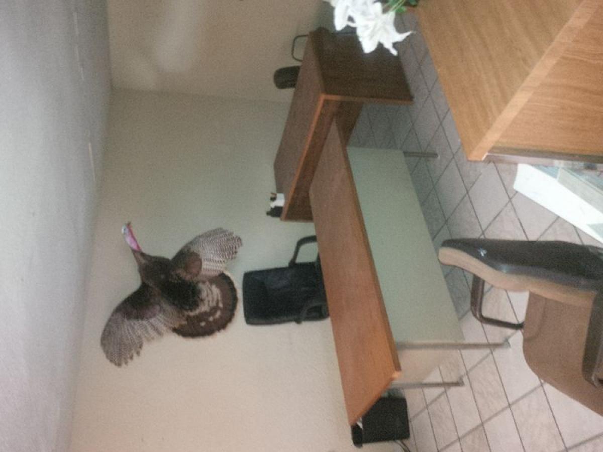 Picture of Office For Sale in Ciudad Madero, Tamaulipas, Mexico