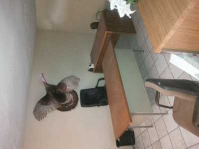 Office For Sale in Ciudad Madero, Mexico