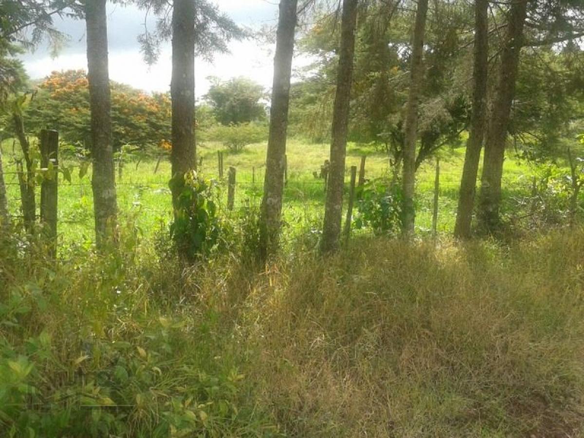 Picture of Residential Land For Sale in Veracruz De Ignacio De La Llave, Veracruz, Mexico