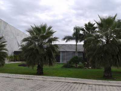 Other Commercial For Sale in Merida, Mexico