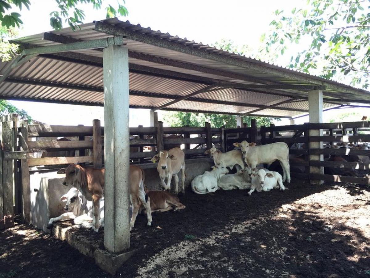 Picture of Development Site For Sale in Buctzotz, Yucatan, Mexico