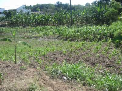 Residential Land For Sale in Tabasco, Mexico