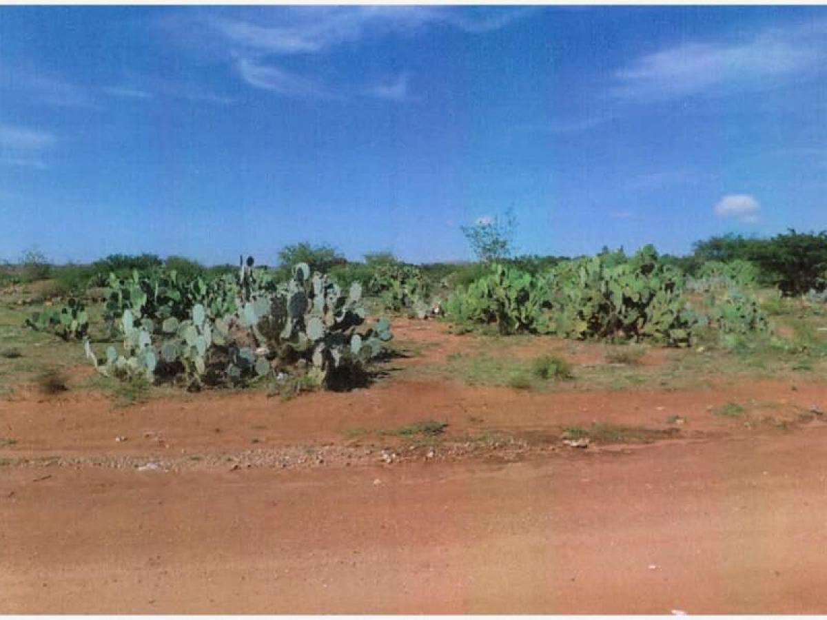 Picture of Residential Land For Sale in Zacatecas, Zacatecas, Mexico