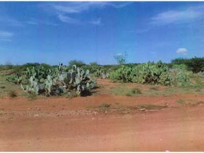Residential Land For Sale in Zacatecas, Mexico