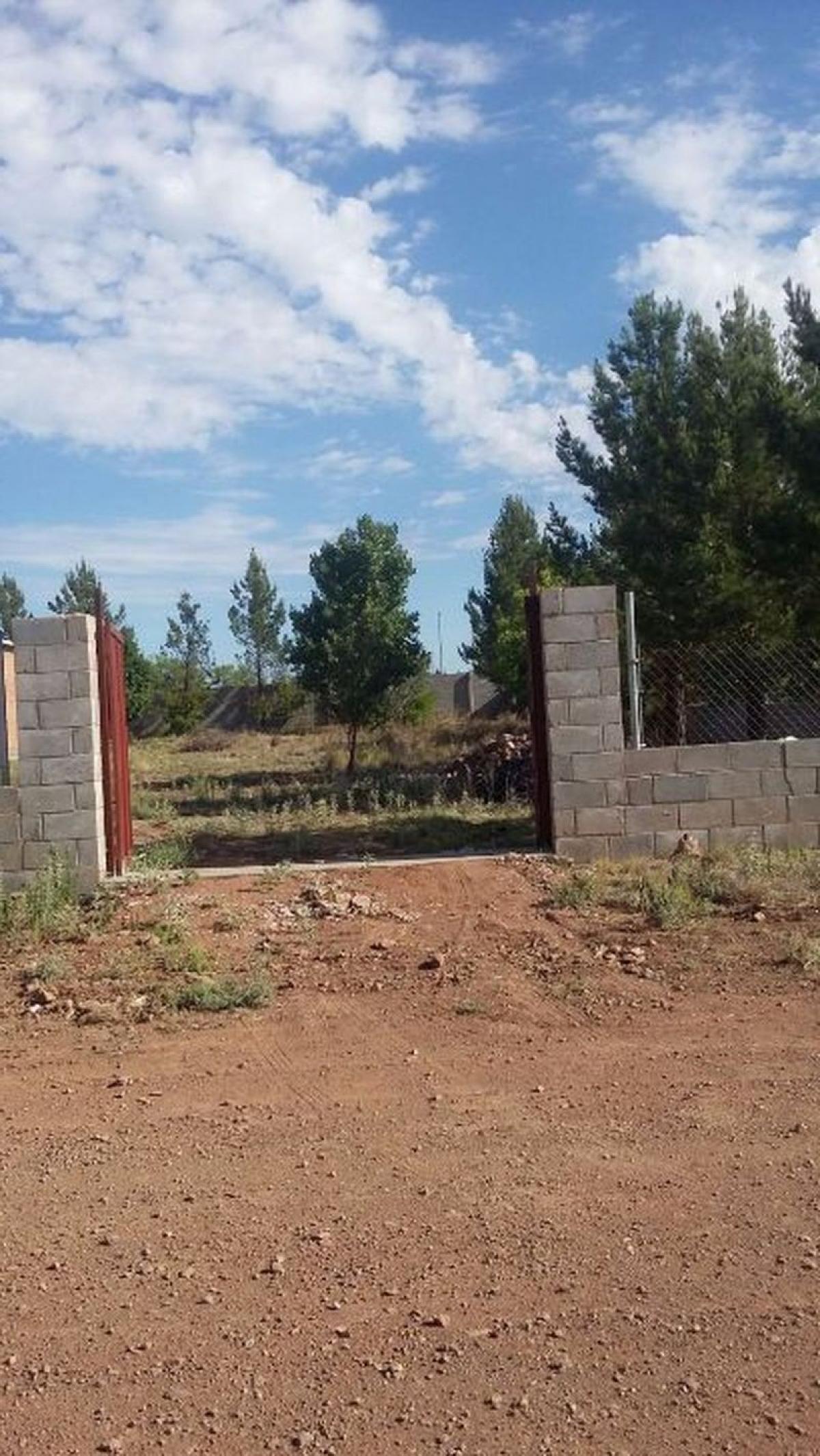 Picture of Residential Land For Sale in Chihuahua, Chihuahua, Mexico