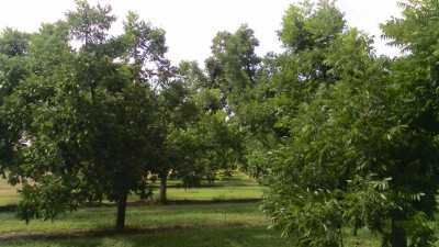 Development Site For Sale in Chihuahua, Mexico