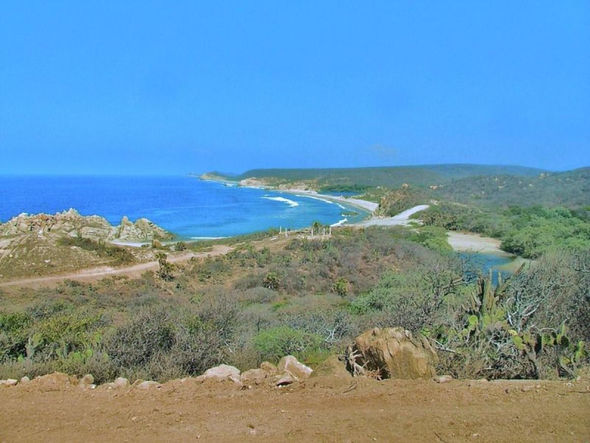 Picture of Development Site For Sale in Santiago Astata, Oaxaca, Mexico