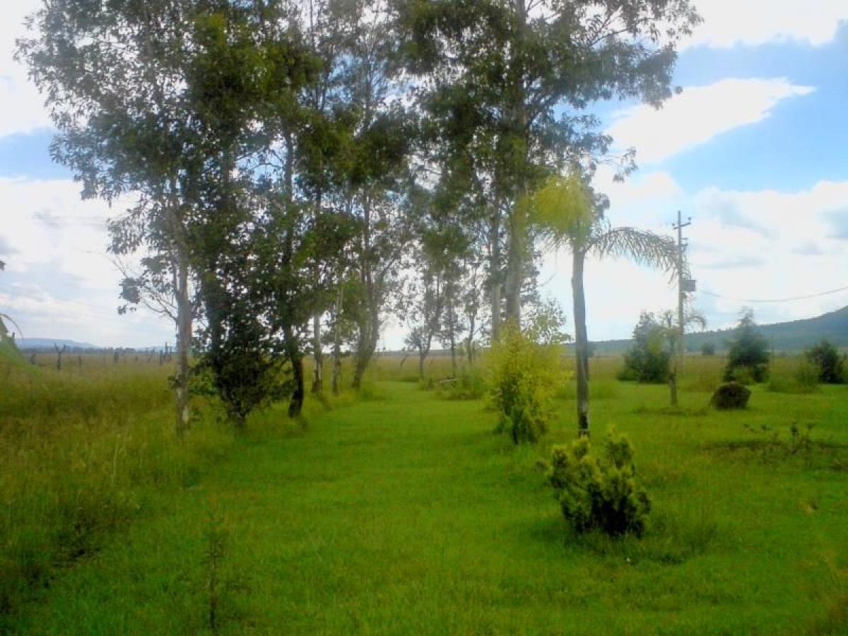 Picture of Home For Sale in Cuquio, Jalisco, Mexico