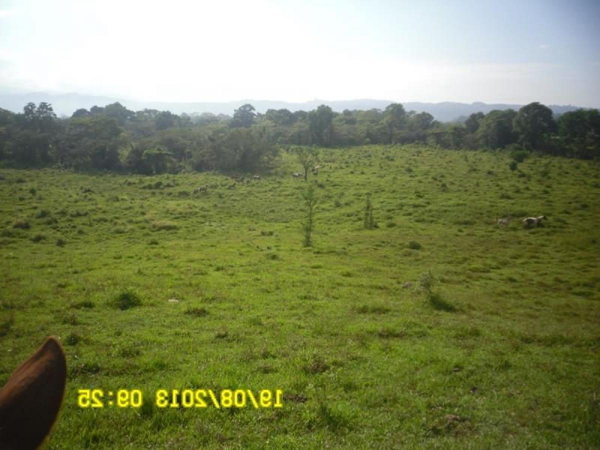 Picture of Residential Land For Sale in Salto De Agua, Chiapas, Mexico
