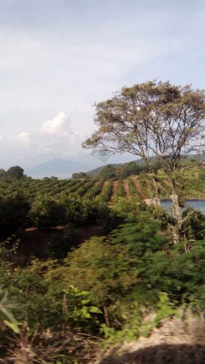 Development Site For Sale in Jiquipilas, Mexico