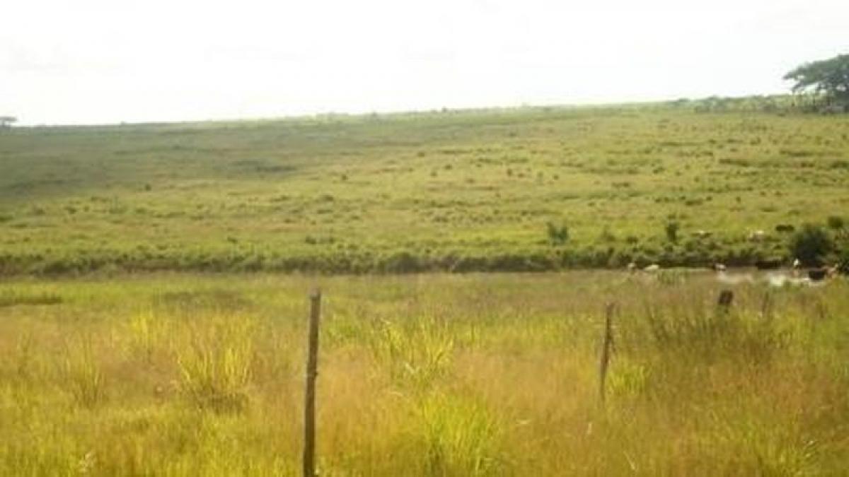 Picture of Development Site For Sale in Veracruz De Ignacio De La Llave, Veracruz, Mexico