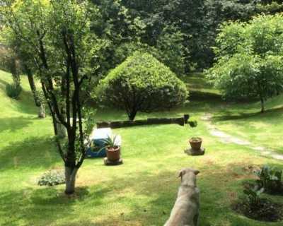 Development Site For Sale in Mexicali, Mexico