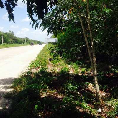 Residential Land For Sale in Quintana Roo, Mexico