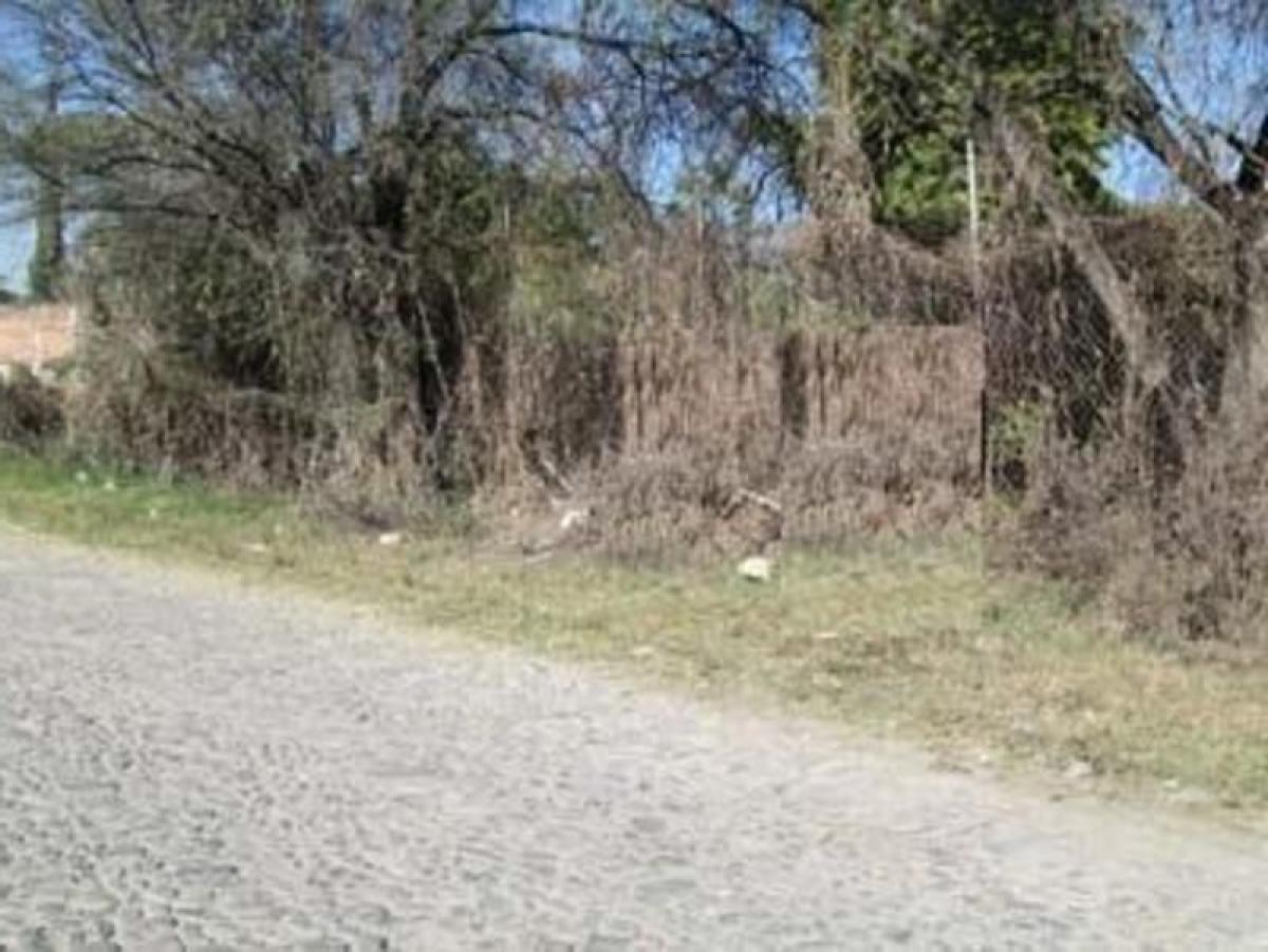 Picture of Residential Land For Sale in Tlajomulco De Zuniga, Jalisco, Mexico