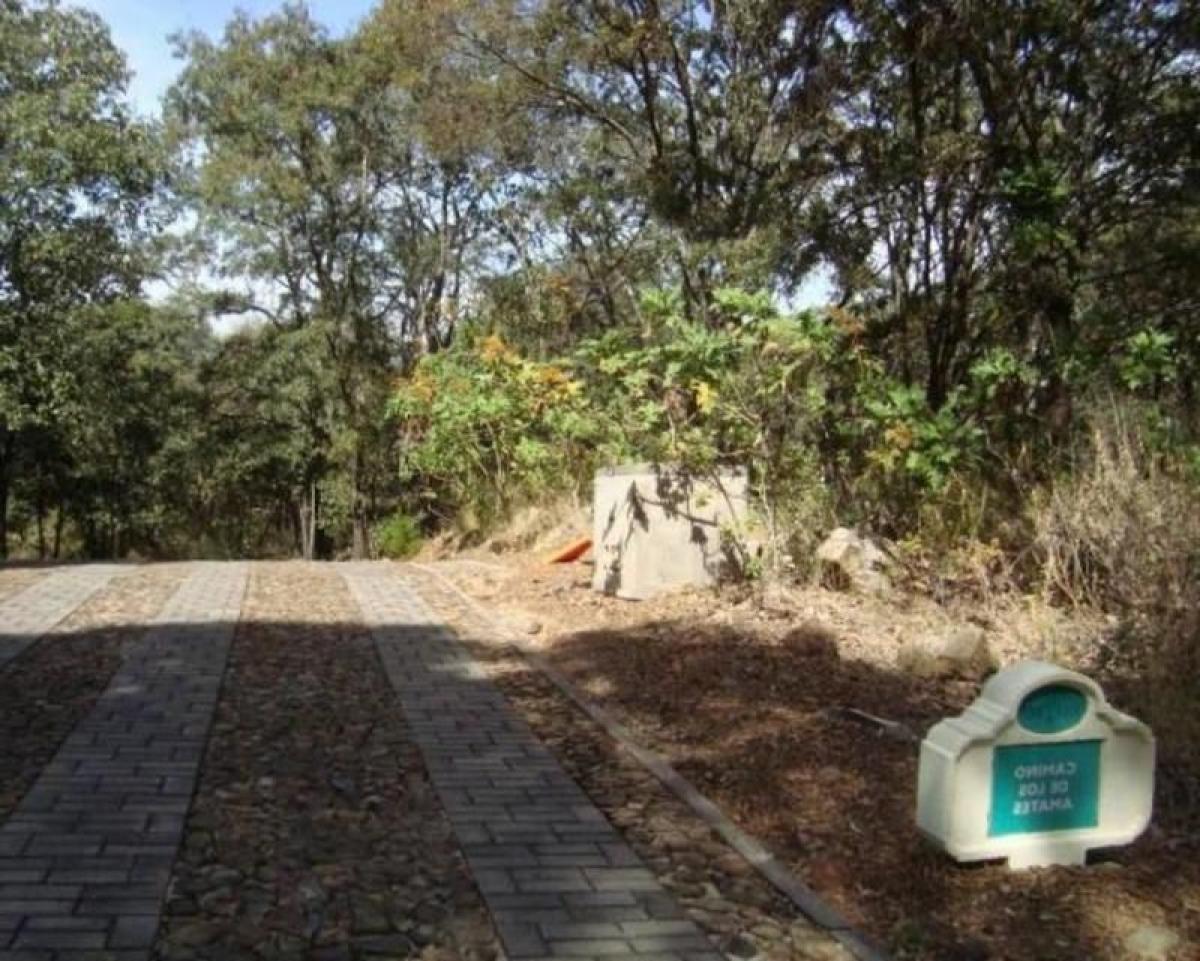 Picture of Residential Land For Sale in Teuchitlan, Jalisco, Mexico