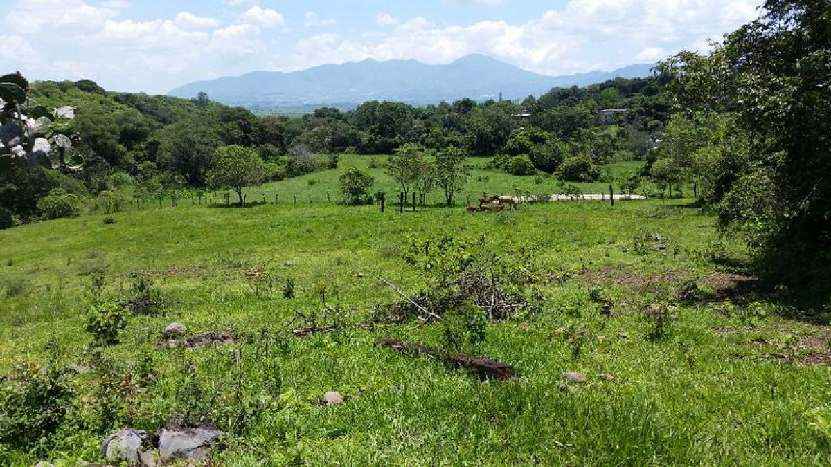 Picture of Development Site For Sale in Xalisco, Nayarit, Mexico