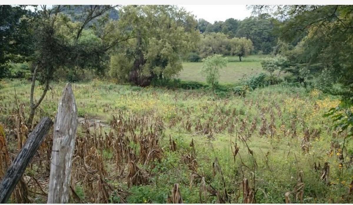 Picture of Residential Land For Sale in Teopisca, Chiapas, Mexico