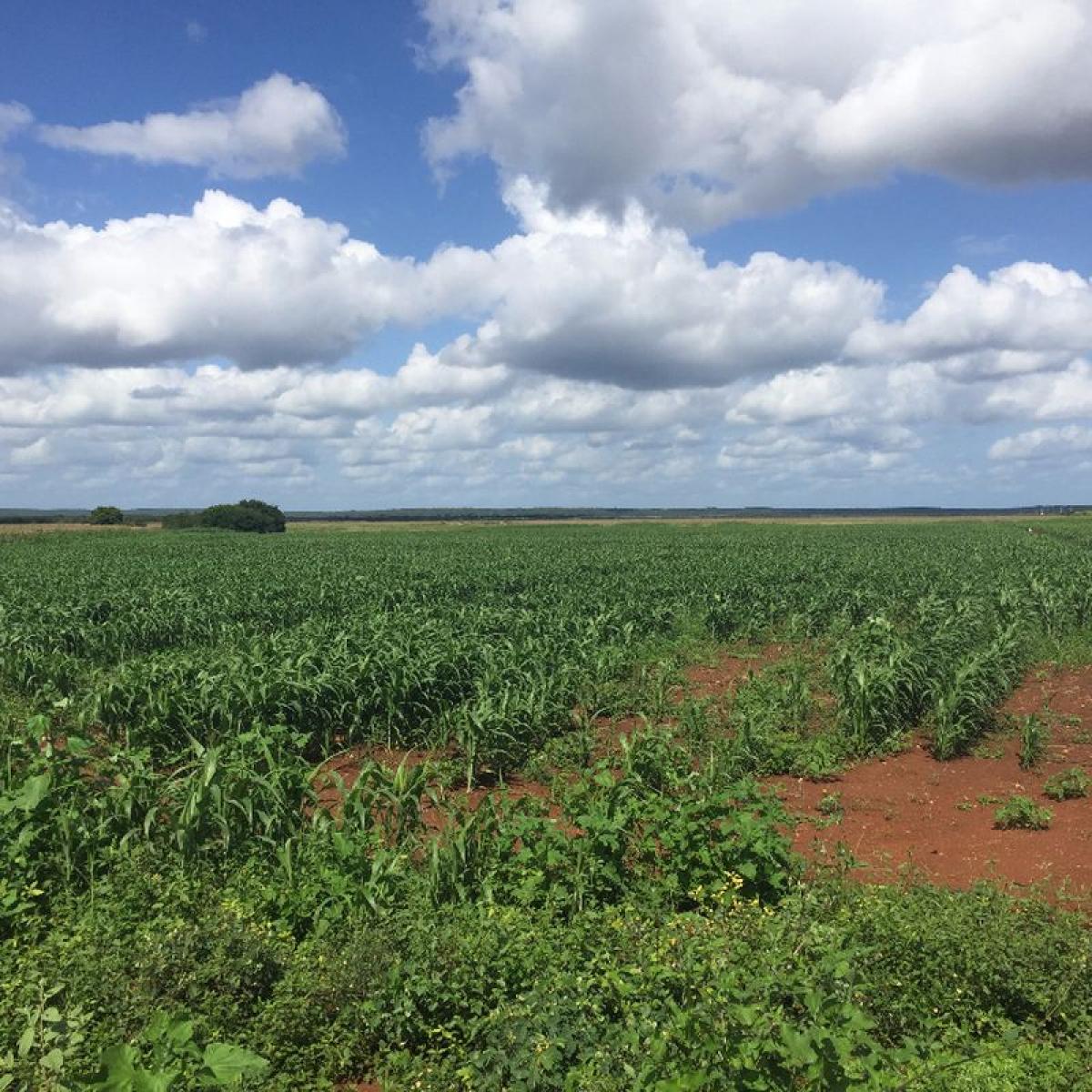 Picture of Development Site For Sale in Campeche, Campeche, Mexico