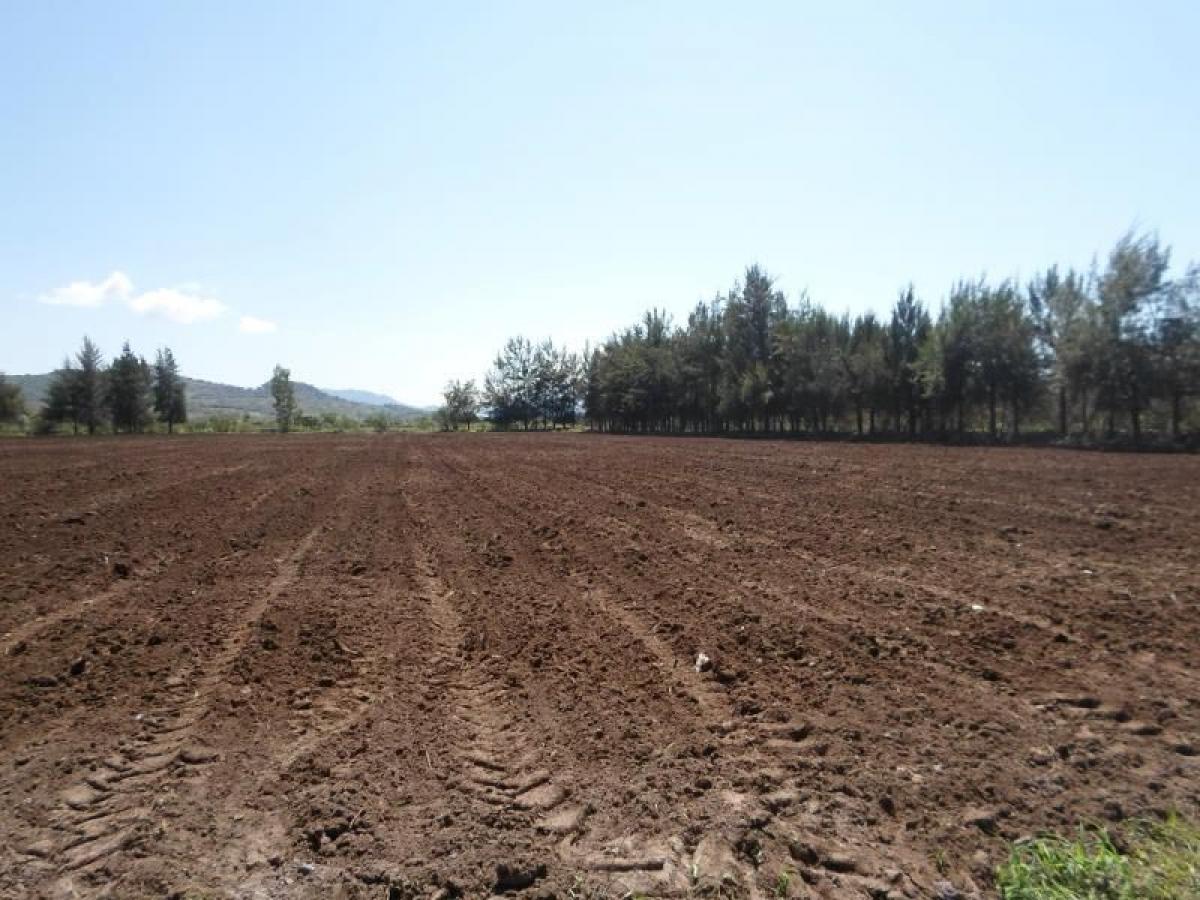 Picture of Home For Sale in Acatic, Jalisco, Mexico