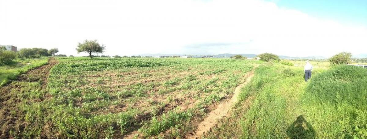 Picture of Residential Land For Sale in Jesus Maria, Aguascalientes, Mexico