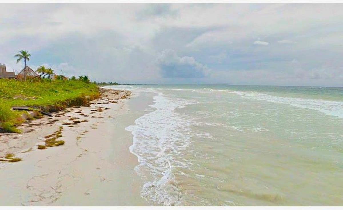 Picture of Residential Land For Sale in Othon P. Blanco, Quintana Roo, Mexico