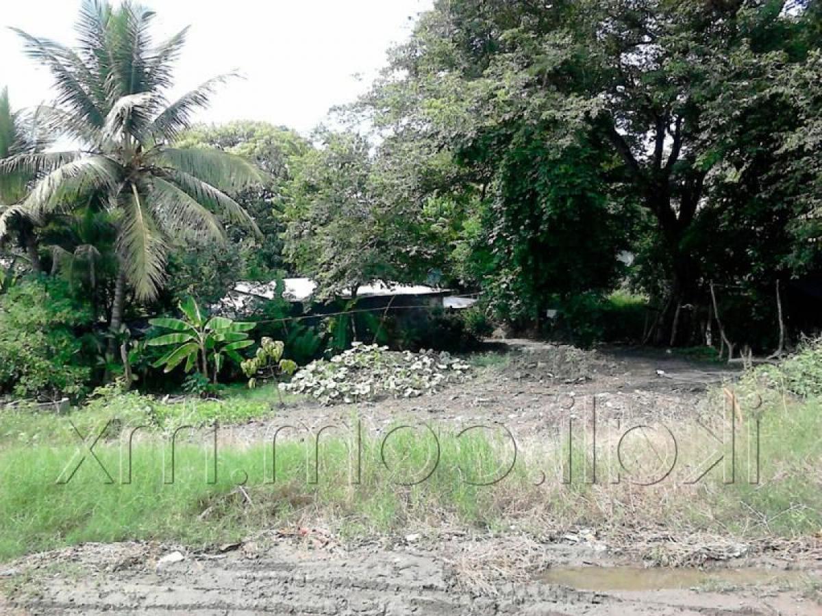 Picture of Residential Land For Sale in Veracruz, Veracruz, Mexico