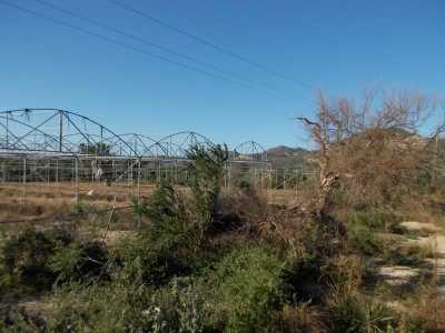 Residential Land For Sale in Los Cabos, Mexico