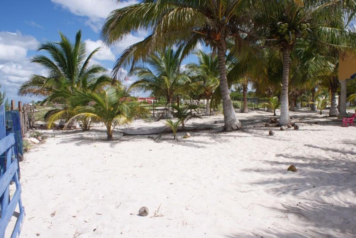Picture of Residential Land For Sale in Dzidzantun, Yucatan, Mexico