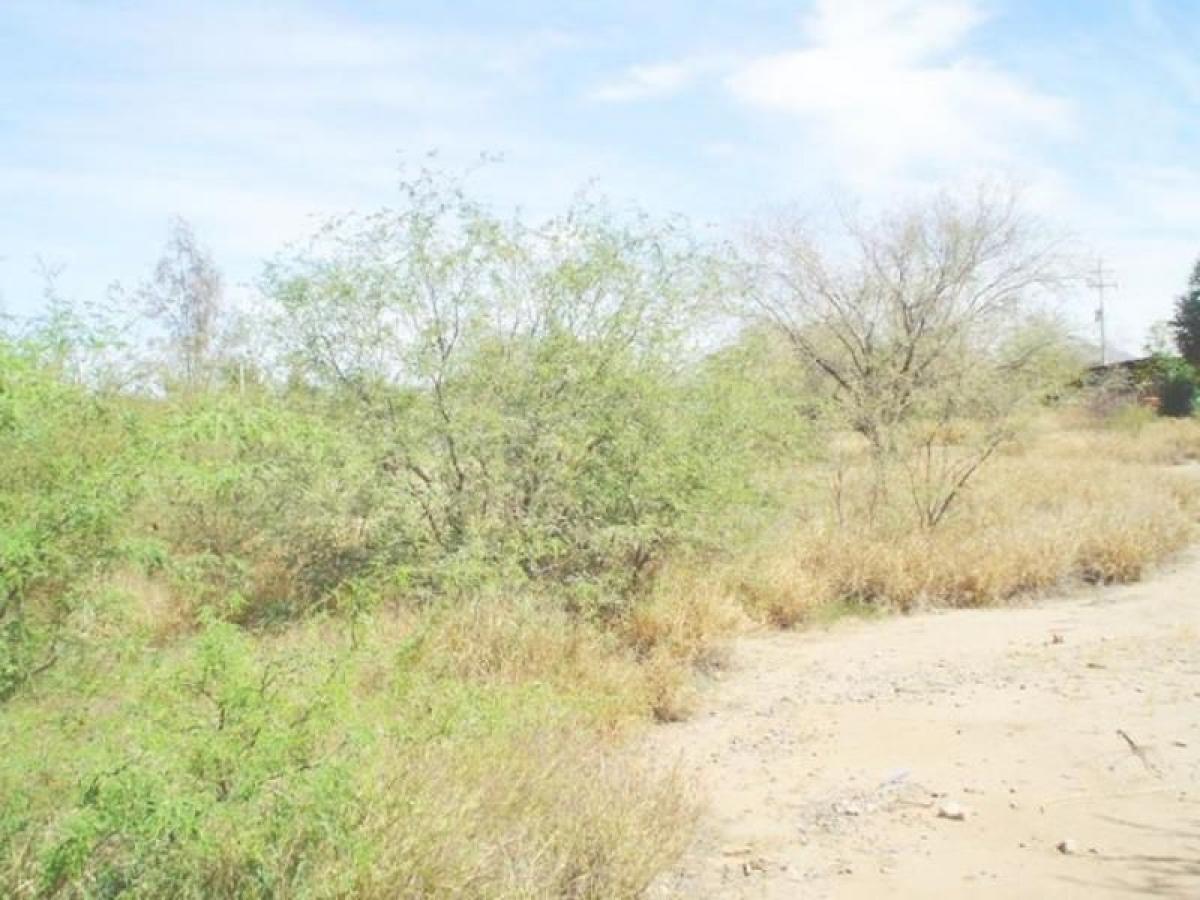 Picture of Residential Land For Sale in Sonora, Sonora, Mexico