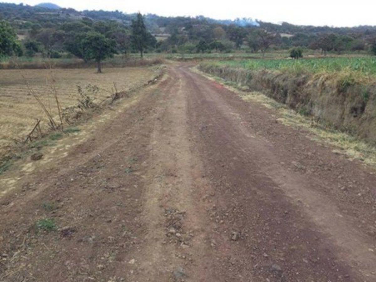 Picture of Residential Land For Sale in Morelos, Morelos, Mexico