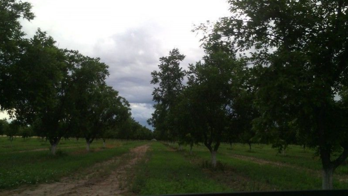 Picture of Other Commercial For Sale in Camargo, Chihuahua, Mexico