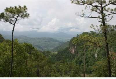 Residential Land For Sale in Tapalpa, Mexico