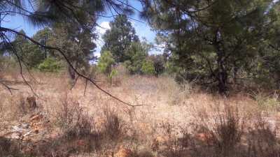Residential Land For Sale in Tapalpa, Mexico