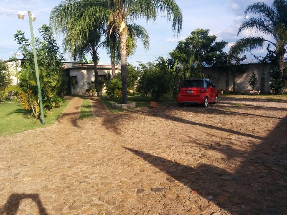 Tequila, Tequila, Jalisco, Mexico Development Sites For Sale at