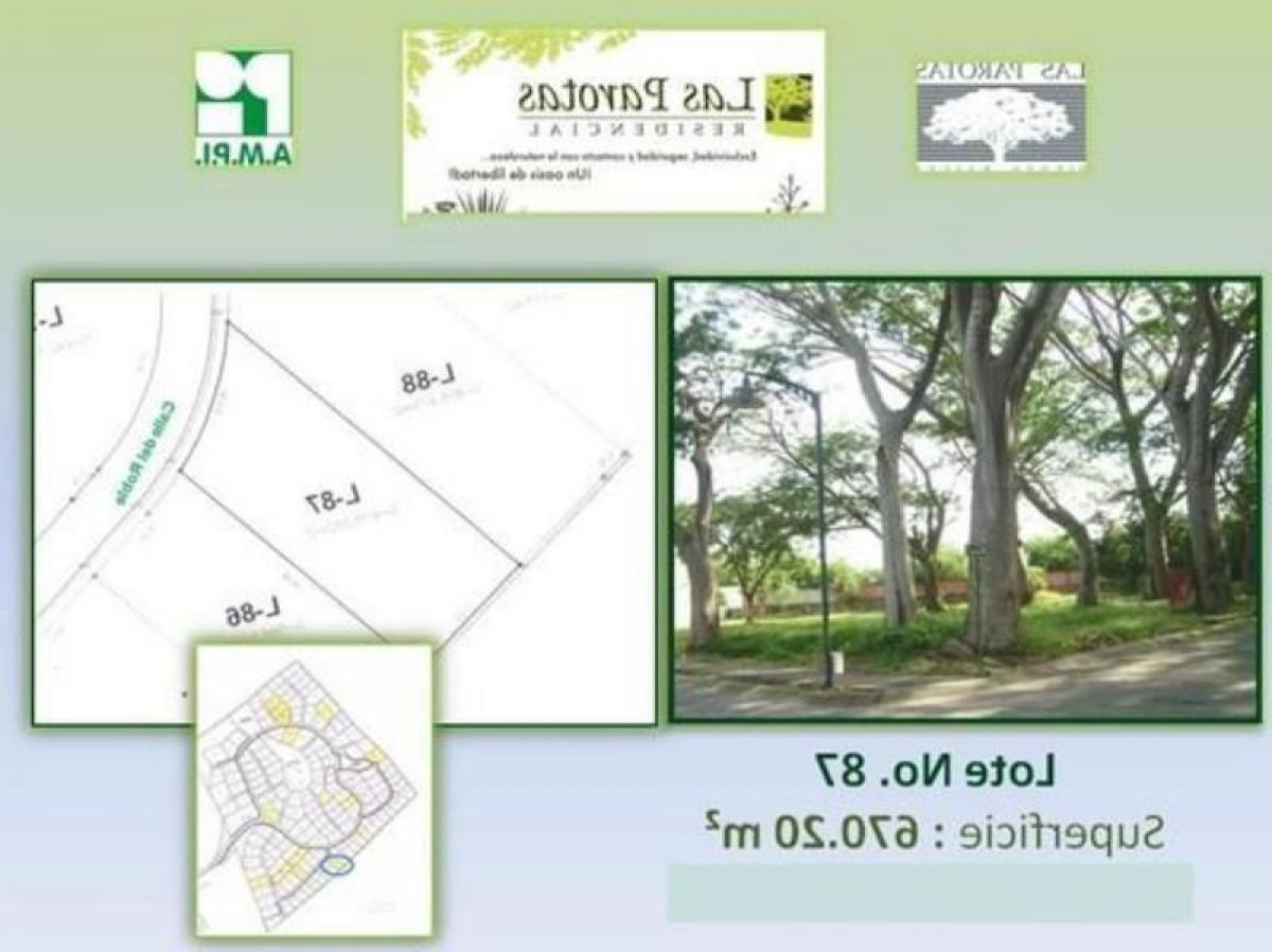 Picture of Residential Land For Sale in Colima, Colima, Mexico