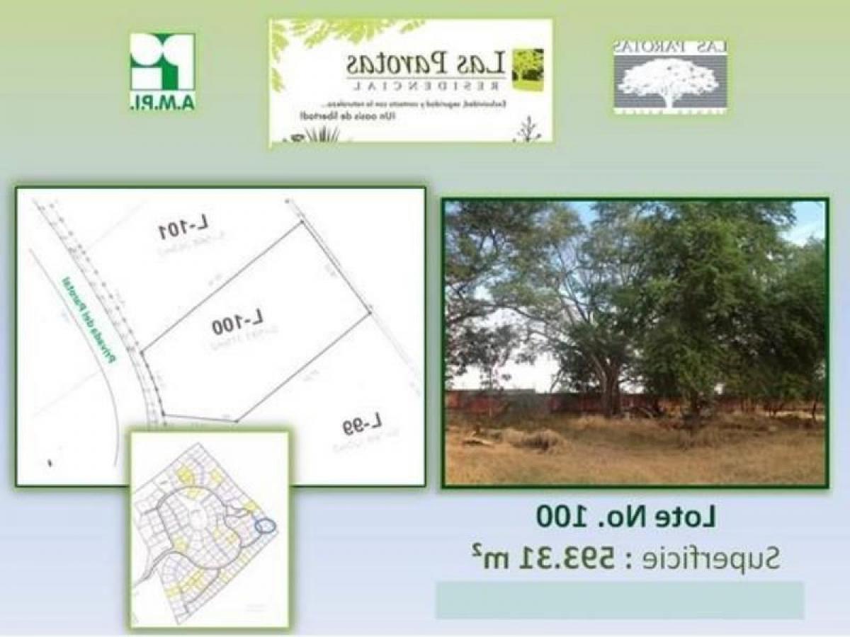 Picture of Residential Land For Sale in Colima, Colima, Mexico