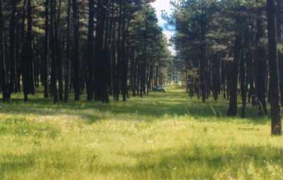 Development Site For Sale in