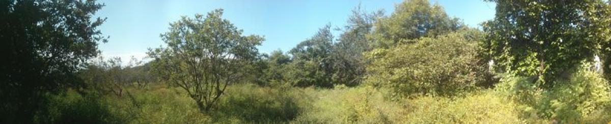 Picture of Development Site For Sale in Chapala, Jalisco, Mexico